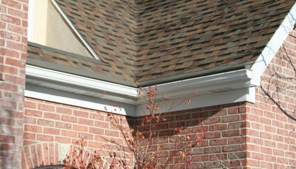 Shingled roof with white gutter.